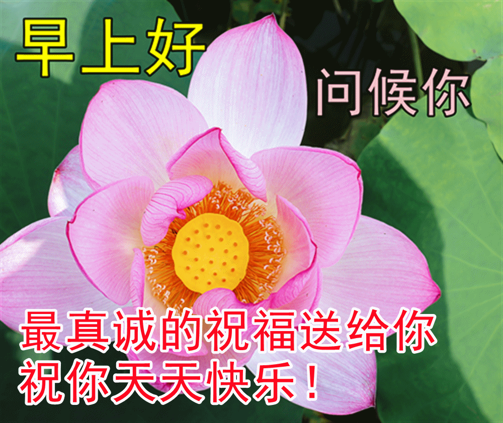 2022最新漂亮早上好动态图片表情,早上好问候祝福语图片带字