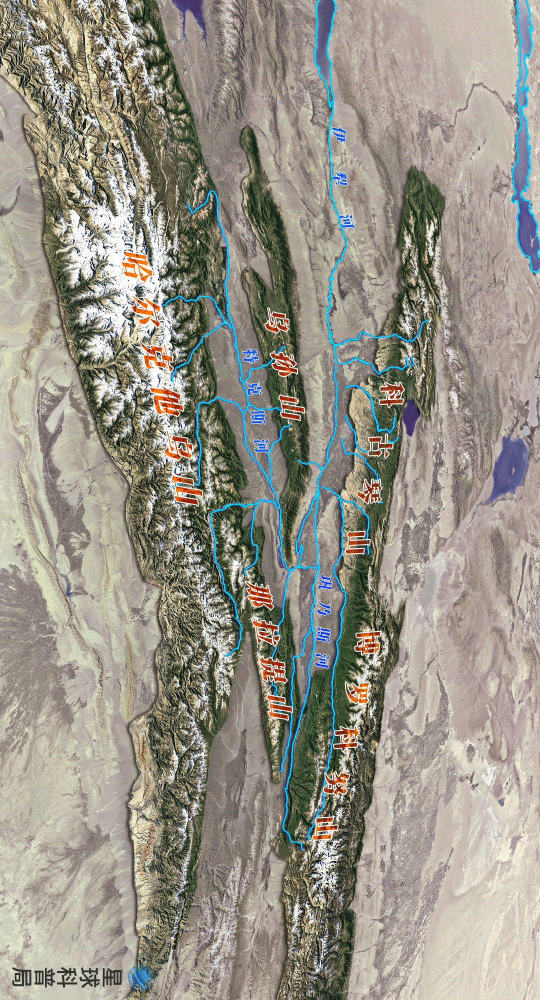 伊犁河谷,美翻了!