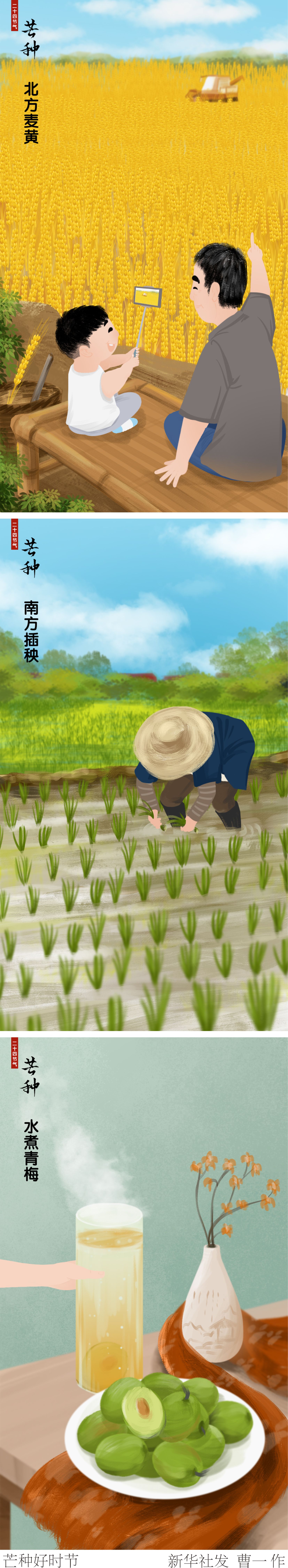 图表插画二十四节气芒种芒种好时节竖版