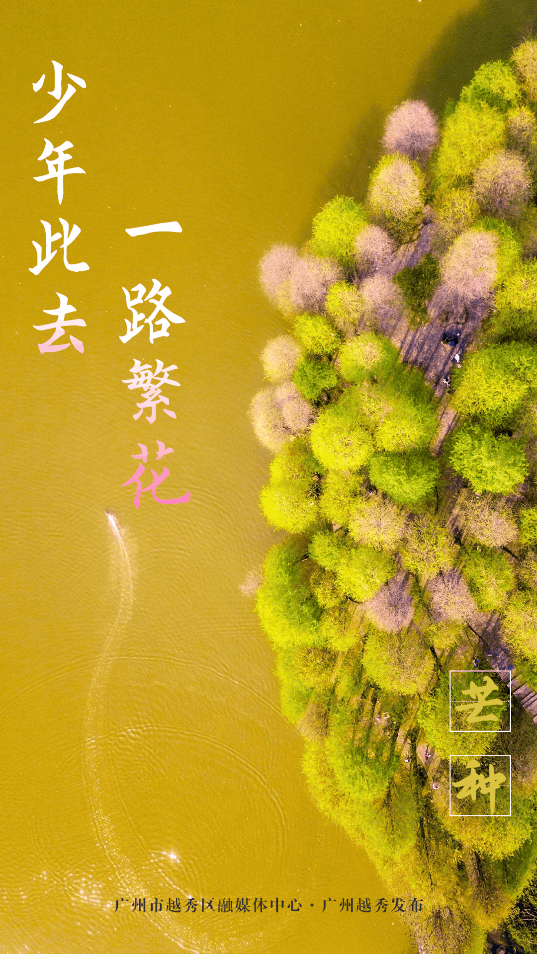 少年此去,一路繁花_腾讯新闻