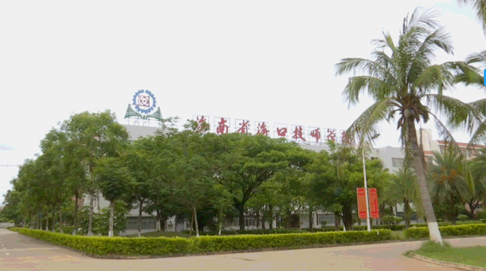 奋斗者正青春探索新派海南菜讲好琼肴故事