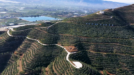 近年来,宾川县力角镇结合实际,因地制宜,利用独特的区位和山水优势
