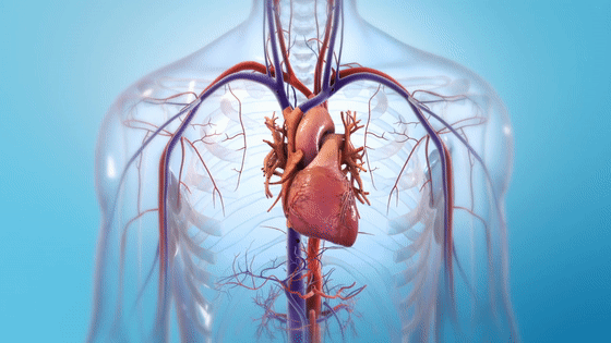 心脏3d生物打印,biolife4d 计划 ipo融资1750万美元