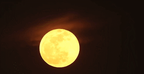 一轮"超级月亮"现身夜空 江畔何人初见月?
