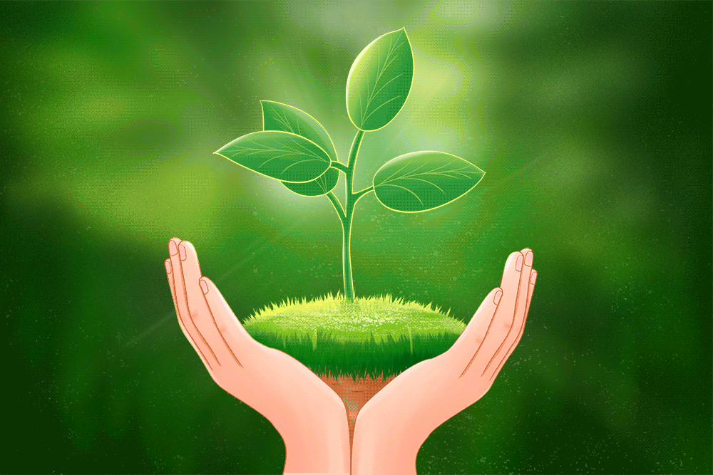 绿色环保一只手提袋是如何做到的