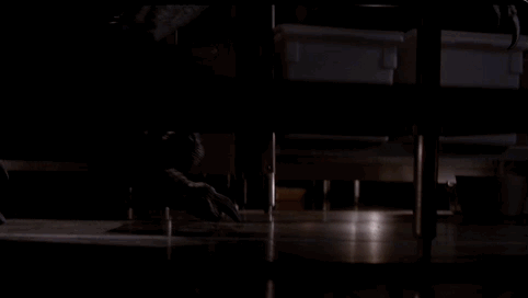 图片[39] - 侏罗纪世界沧龙是哪部完整无删减资源(高清版）完整中字资源已完结 - 影视资源论坛 - 文件资源 - 小轻秀场