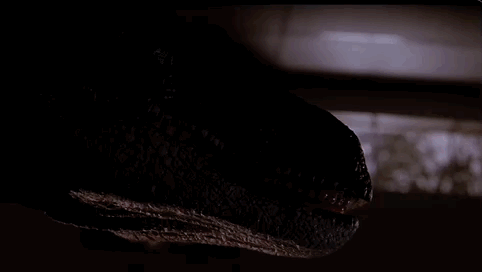 图片[40] - 侏罗纪世界沧龙是哪部完整无删减资源(高清版）完整中字资源已完结 - 影视资源论坛 - 文件资源 - 小轻秀场