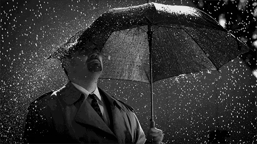 500_281gif 动态图 动图