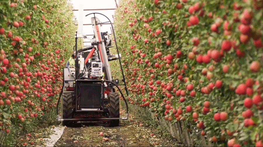 abundant 采摘机器人在果园中工作 | 来源:abundant robots通过