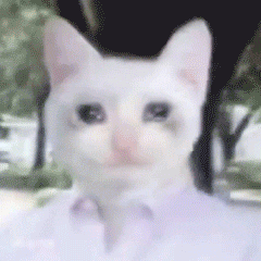 240_240gif 动态图 动图