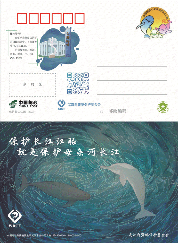 寄一只"江豚"给你,请查收!