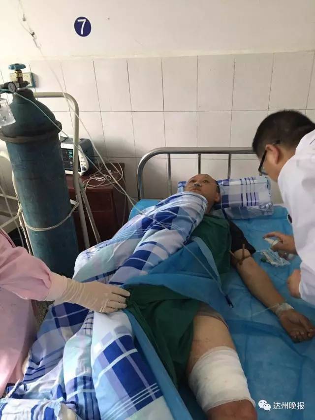 动脉内衣_动脉粥样硬化图片