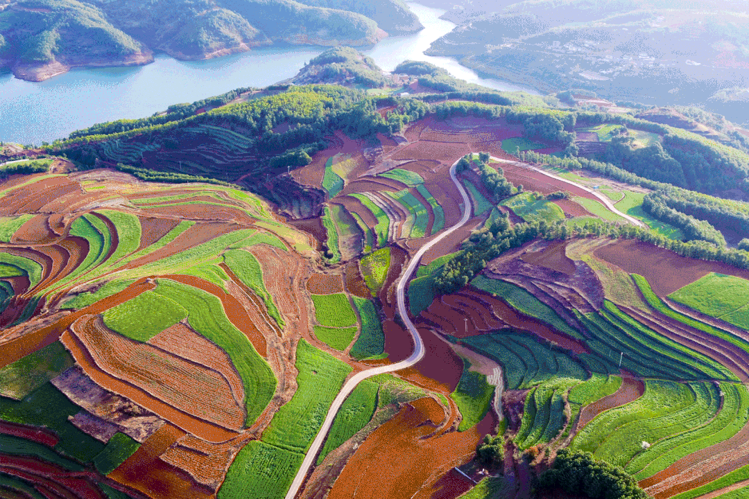 巧家县"喜迎二十大 点赞巧家美"原创视频大赛启动,等您来参与!