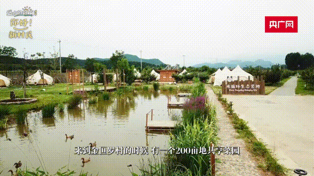 远山的回响｜来当“新村民”！名校学霸：乡村是一幅大画布，任你去创作中国历史和平年代最长的朝代2022已更新(今日/哔哩哔哩)