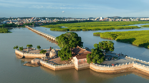 就在泉州台商区马上拿起手机