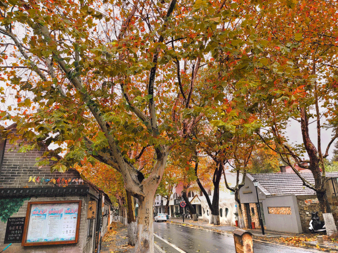 1079_809gif 动态图 动图