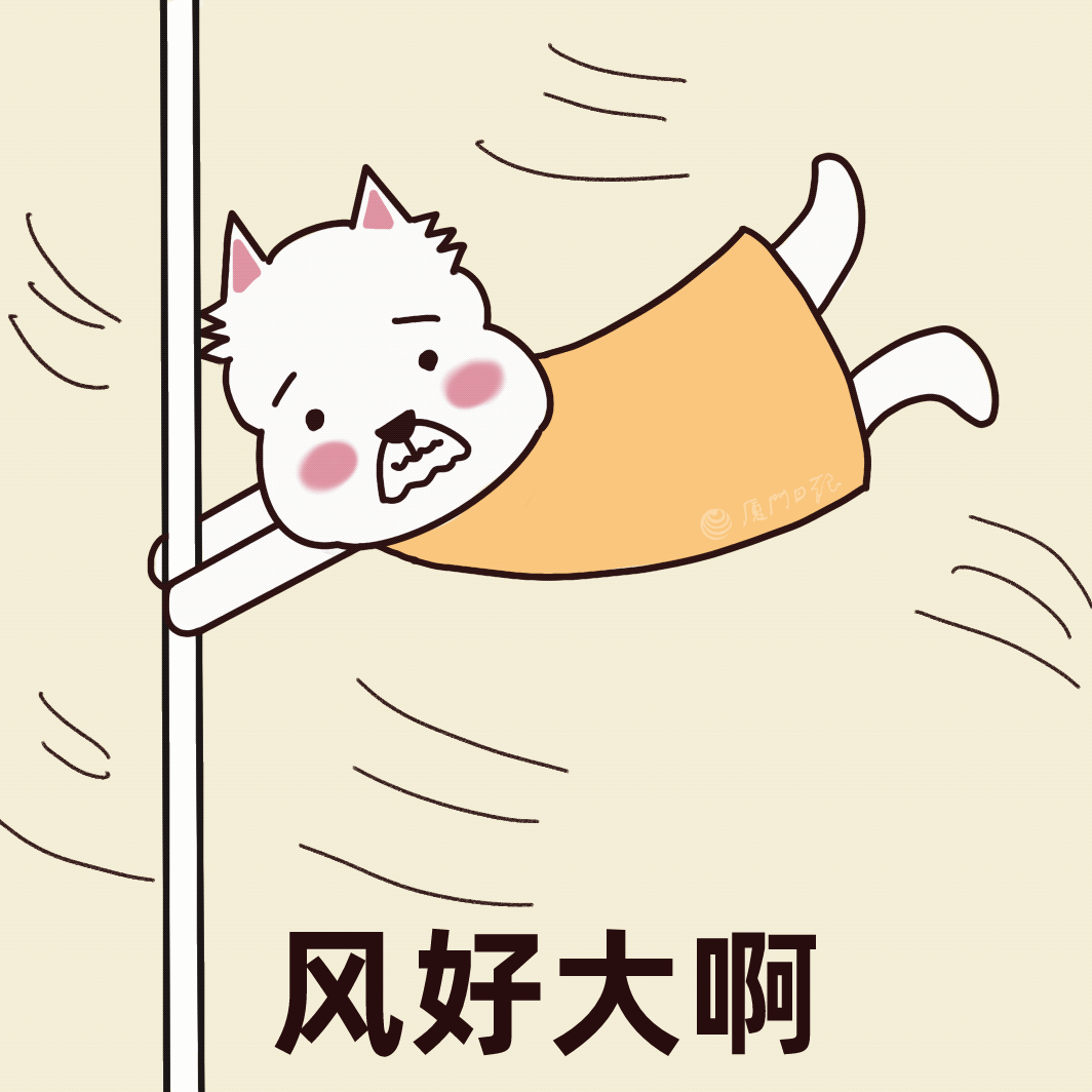 厦门大风最高11级!岛外多条公交线路临时调整