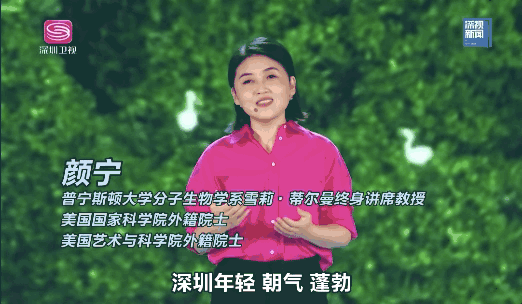 清华最年轻的女神教授，辞别普林斯顿，她要在深圳卷起来！