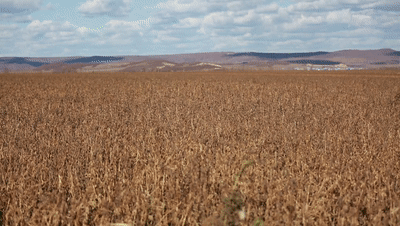 基层声音基层书记研报告丨孙吴县卧牛河乡党委书记李桂才