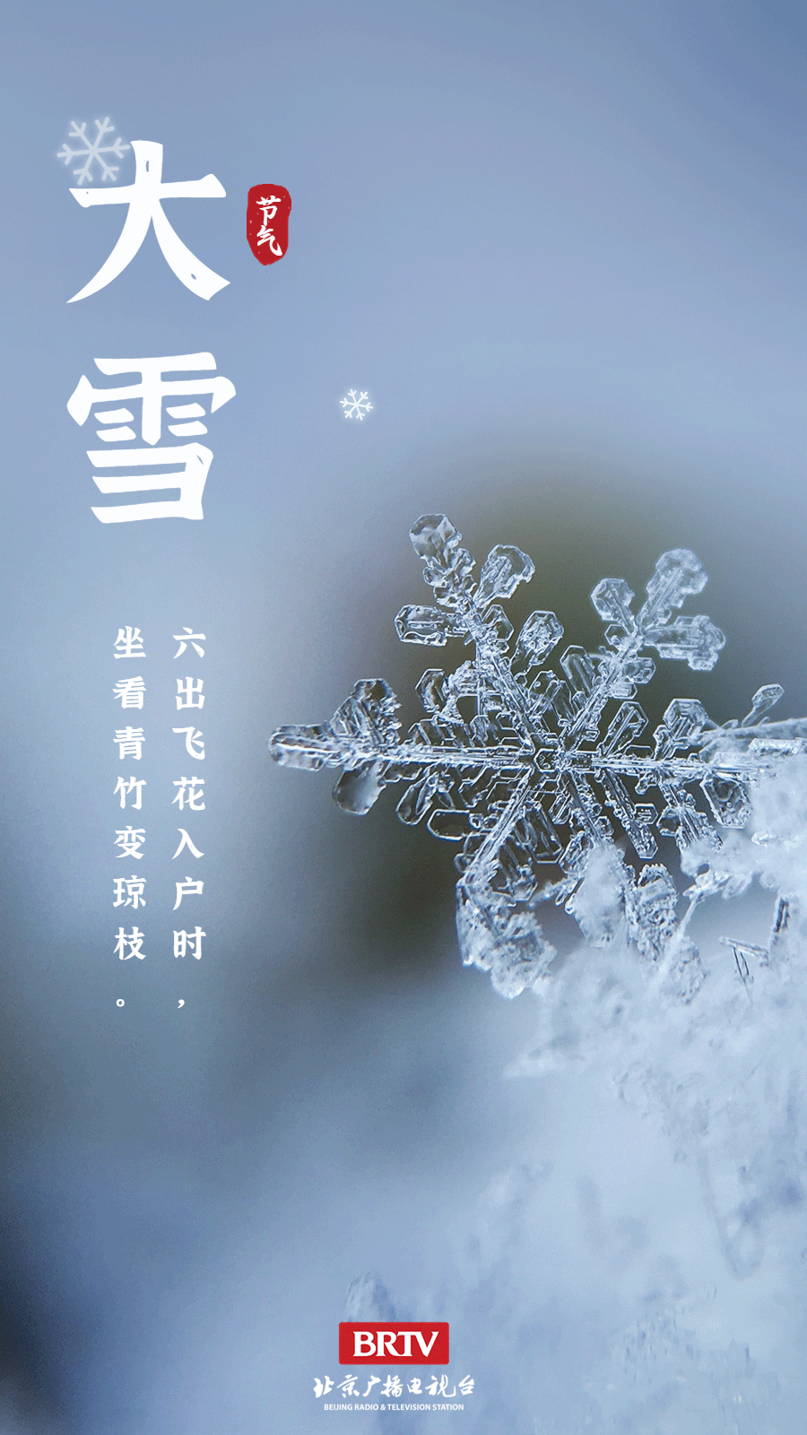 大雪丨冬来无恙祝君安