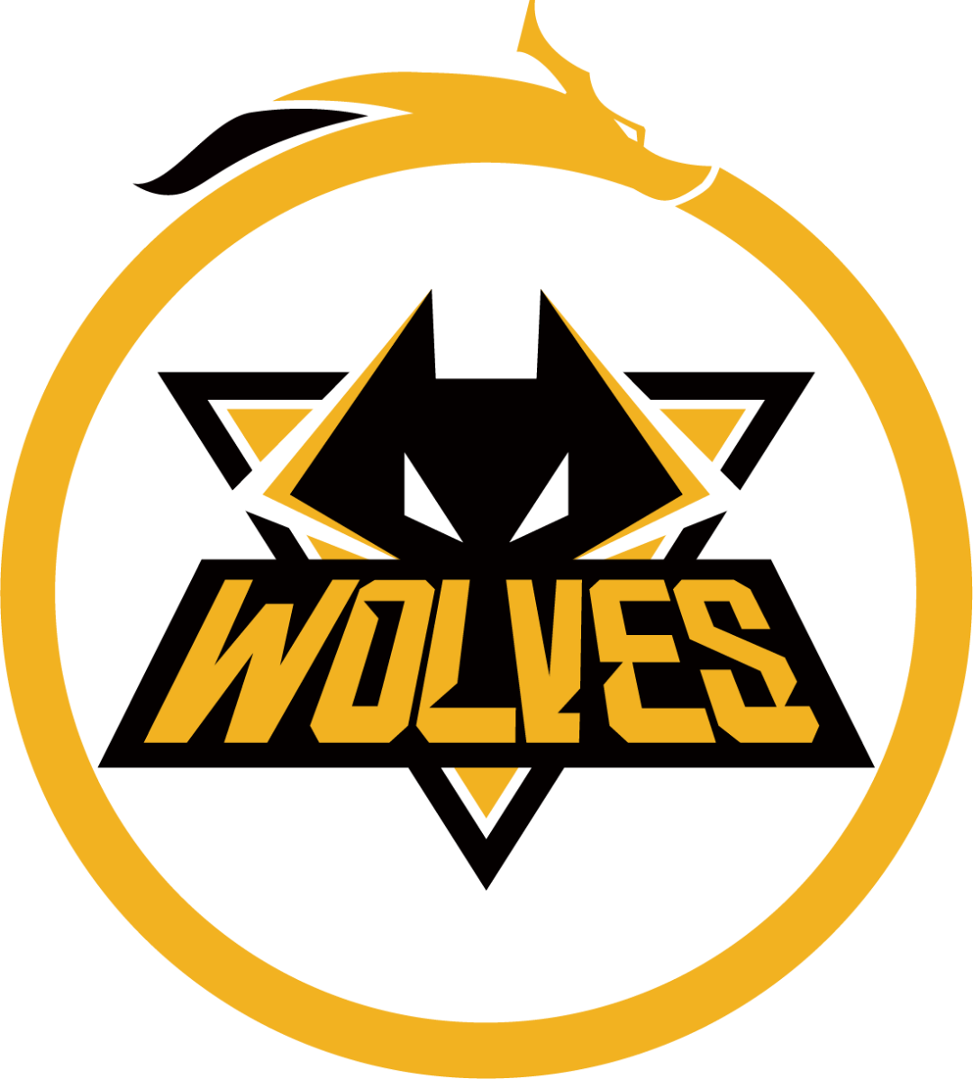 中国重庆狼队 vs 中国南京hero久竞本次四分之一决赛将对战同样状态和