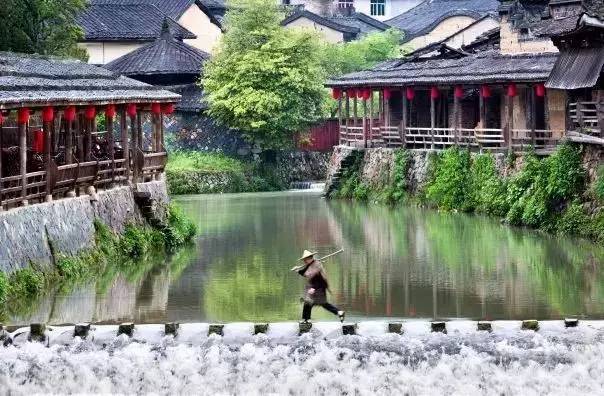 寿宁总人口_寿宁米糕(2)