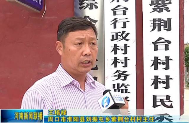 刘振屯人口_刘振屯中心小学(2)