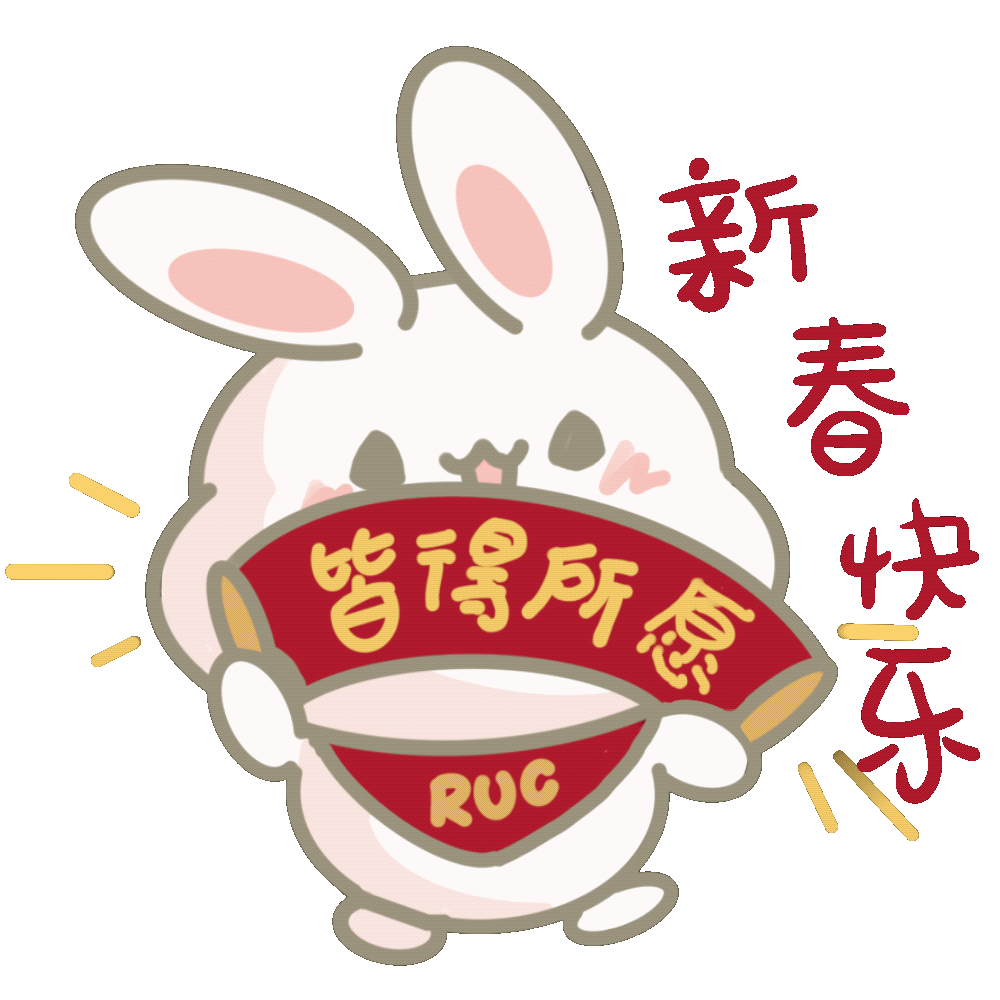 用ruc兔兔表情包做扬眉兔气的人大人