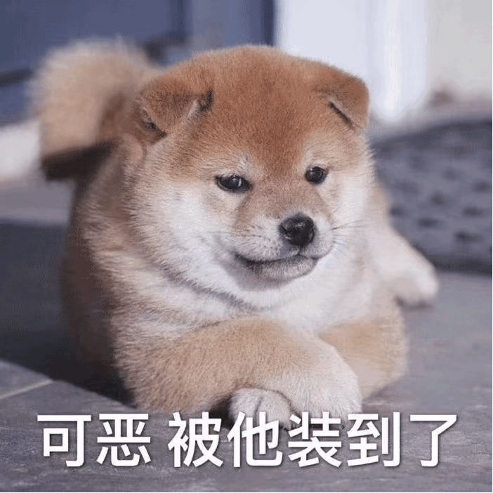 转入尖子班之大佬都宠我?抖音版伪装学霸专场来了!