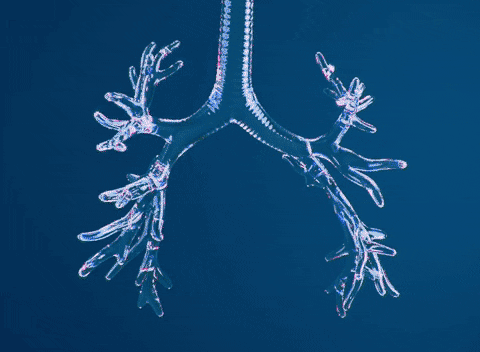 有研究显示,主动循环呼吸技术对呼吸系统疾病