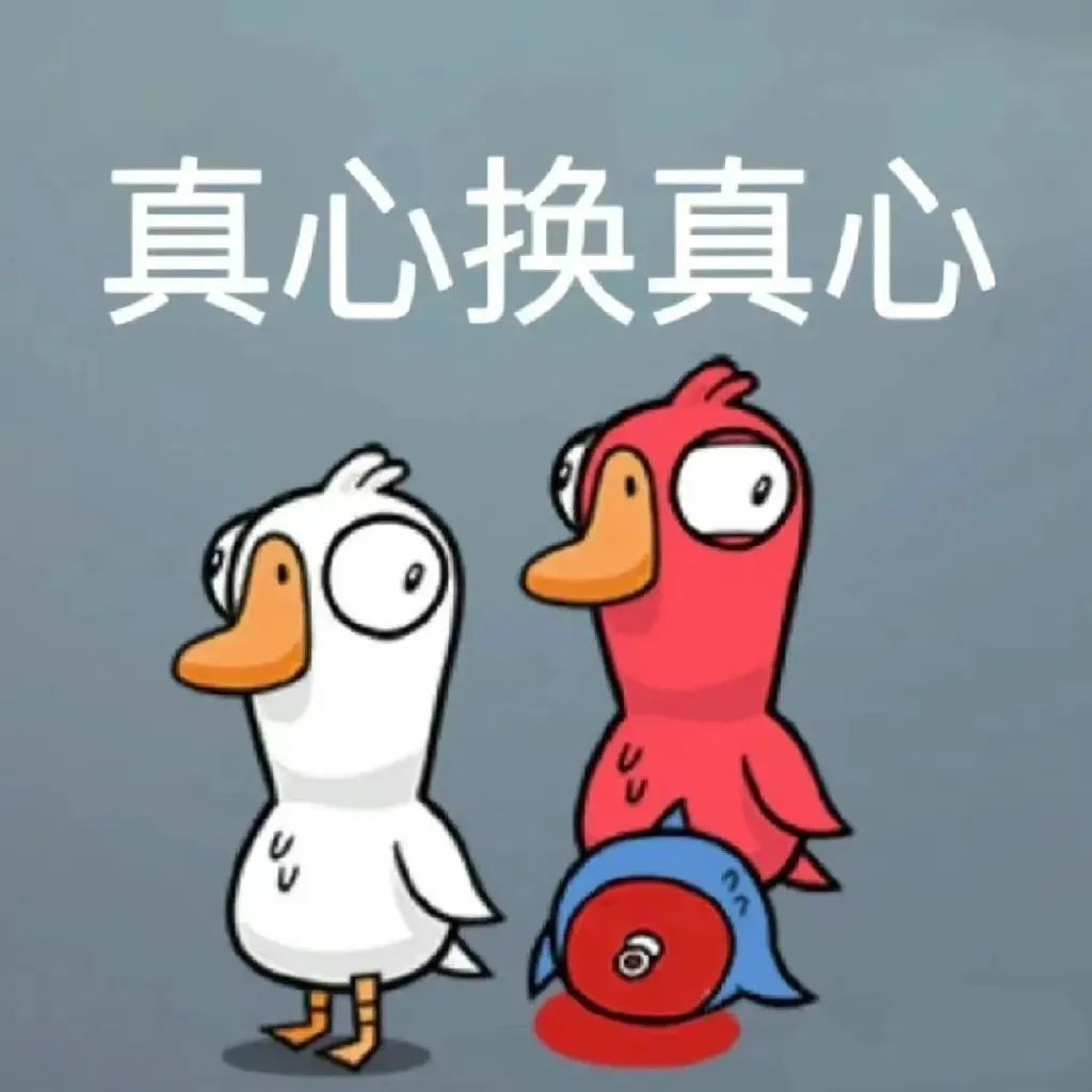 如呆呆鸟,鸽子,鹈鹕等中立及以下的角色,会根据局势选择帮助鹅或者