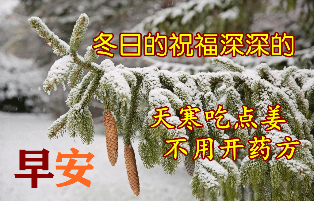 3月17日早上好动态表情图片大全,早上好动图美图大全!_腾讯新闻