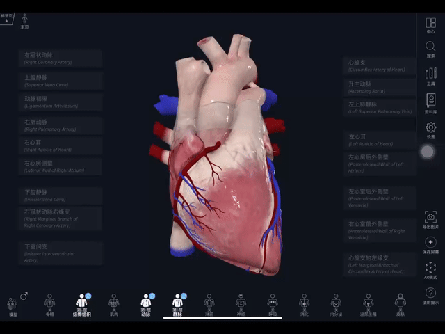 三维展示,加强理解complete anatomy 心血管课堂无法消化的知识