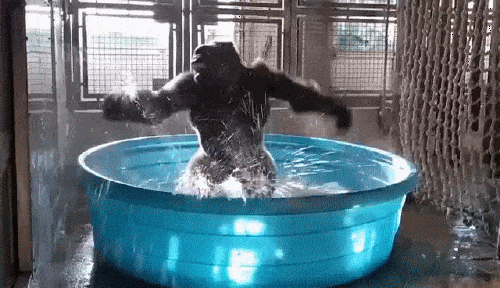 猩猩转圈圈火星上也有云,但由于火星大气干燥而稀薄,云并不像地球上