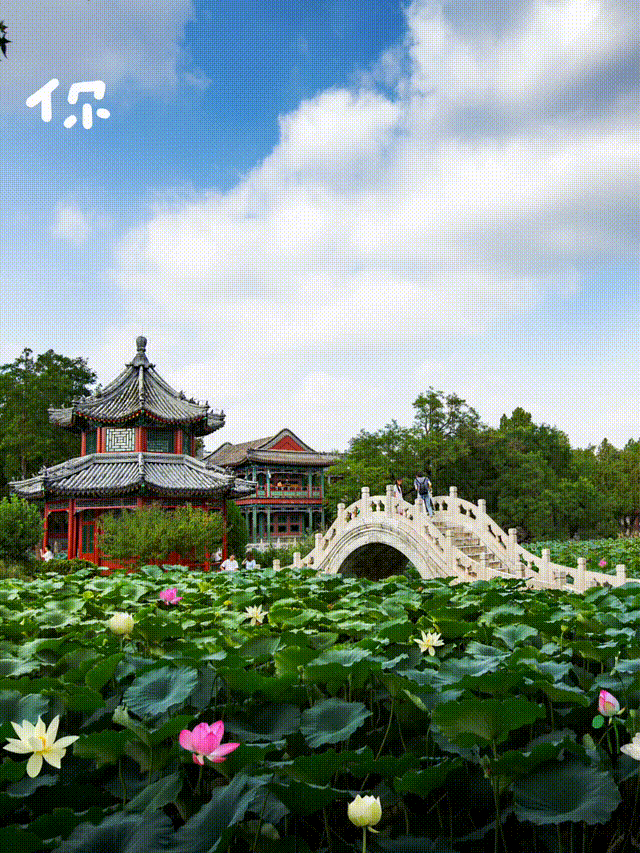 你好,我叫保定,这是我的最新简历_腾讯新闻