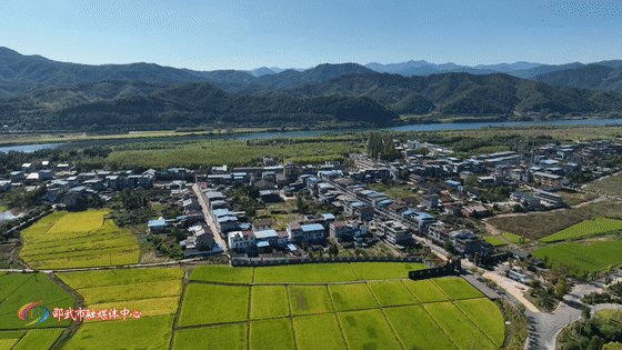 【深学争优 敢为争先 实干争效】专访邵武市卫闽镇党委书记李建文