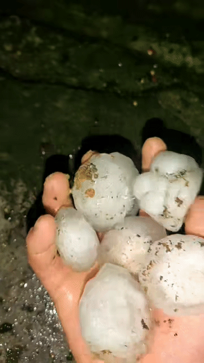 贵州12县遭冰雹侵袭,现11级大风_腾讯新闻