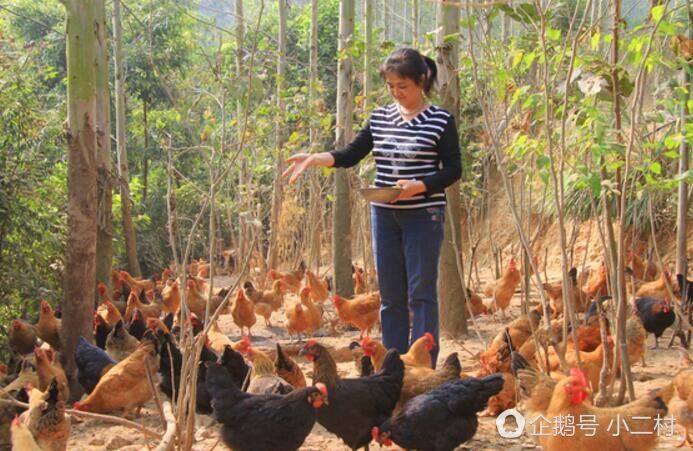 民莱面积人口_梵蒂冈人口及国土面积(3)