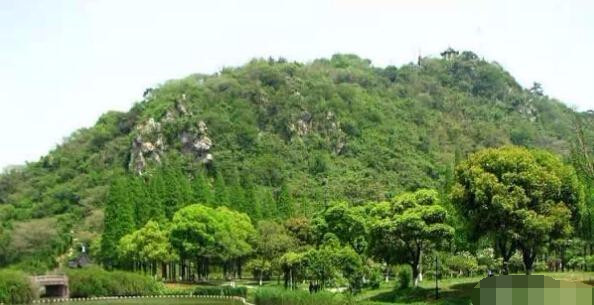 省机关GDP算省会_省会城市gdp排名2020