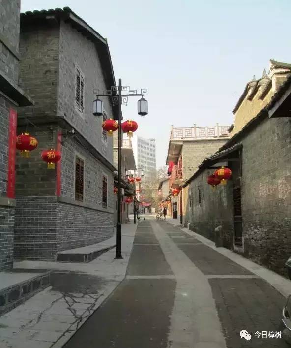 樟树临江镇人口_江西樟树临江小学图片(3)