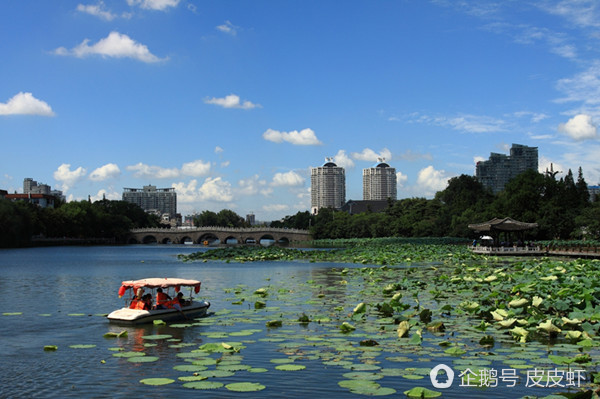 中国老龄化人口城市_中国人口老龄化趋势图(2)