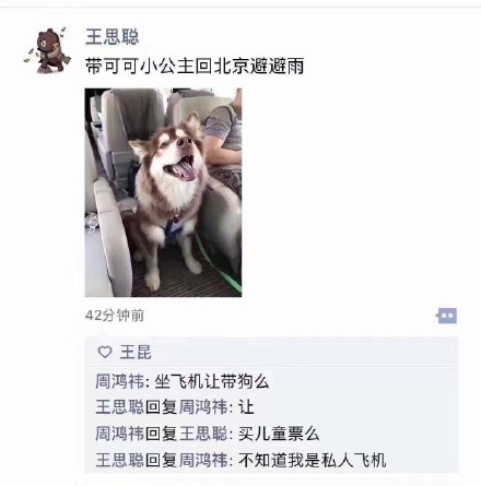 王思聪带爱犬王可可坐飞机,求周鸿祎心理阴影