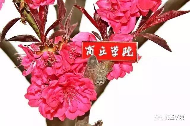 歪,你有freestyle吗?