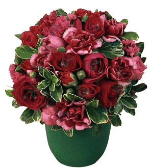 300_330gif 动态图 动图