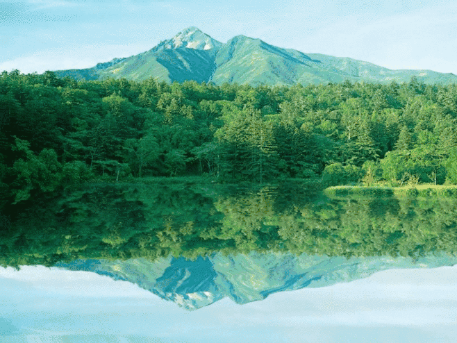 发几张图给你,眼睛累的时候看看,有奇效.