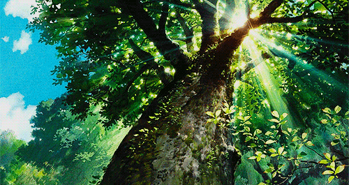 大暑|大暑：热散由心静，凉生为室空