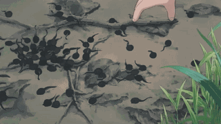 西游记|说到夏天，那必须是……