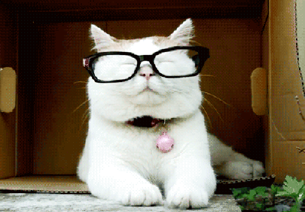 王喜等腐败官商,贪污贿赂犯罪自然是逃不掉的,但这里还有两个关键词