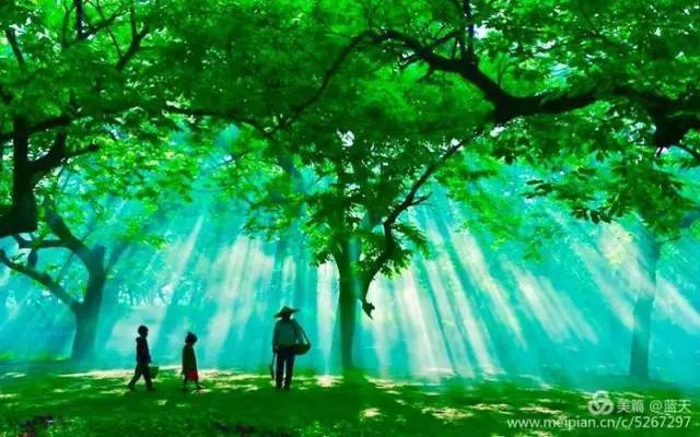 两个小孩在追逐猜成语_看图猜成语(3)