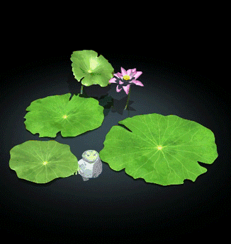 326_345gif 动态图 动图